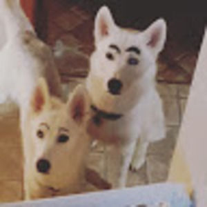 Meet your Posher, Jackie